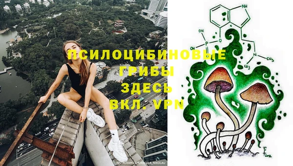 эйфоретик Баксан