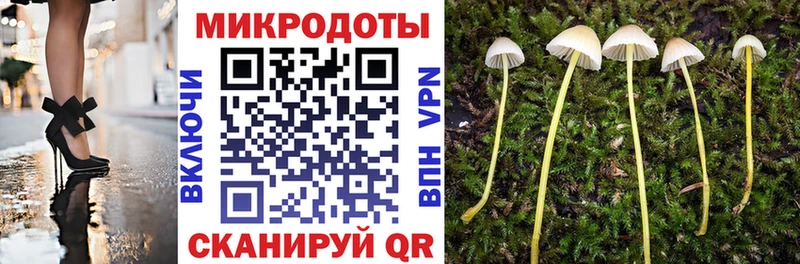 Псилоцибиновые грибы мухоморы  Электрогорск 