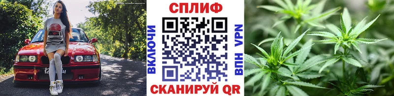 Шишки марихуана MAZAR  Электрогорск 